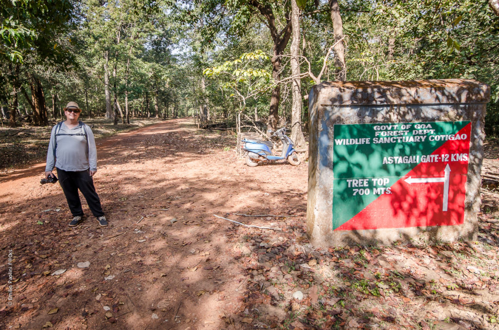 Cotigao Wildlife Sanctuary